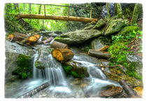 Alum Cave Bluff Trail by Debra and Dave Vanderlaan