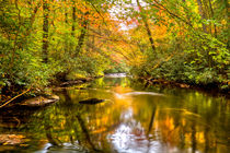 Autumn Mirror von Debra and Dave Vanderlaan