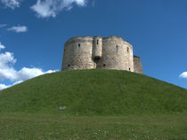 The Tower by Robert Gipson