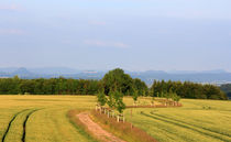 Fernblick von Wolfgang Dufner