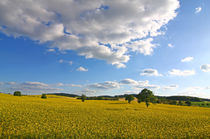 Frühlingslandschaft by Wolfgang Dufner