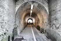 The Tunnel von Robert Gipson