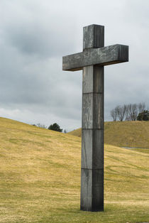 The Cross by Lars Hallstrom