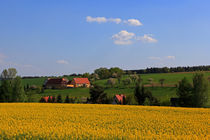 Dreiseitenhof in Frühlingslandschaft von Wolfgang Dufner