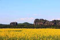 Schrammsteine und Falkenstein von Wolfgang Dufner