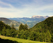 South Tyrol 