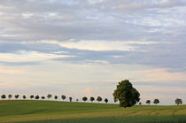 Sommerlandschaft von Wolfgang Dufner