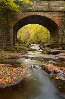 Bridge over May Beck by Martin Williams