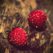 Les Fraises sauvages by tr-design