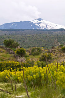 Parco Naturale di Etna - Sicilia von captainsilva