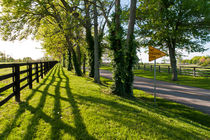 Country scenery at spring. by Irina Moskalev