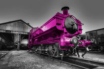 The Pink Pannier by Rob Hawkins