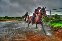 Water Horses by Rob Hawkins