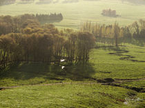 The Shire / Das Auenland von starsongstudio