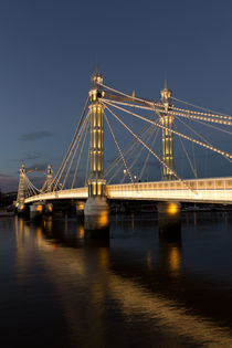 The Albert Bridge London by David Pyatt