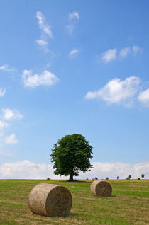 Sommerlandschaft by Wolfgang Dufner