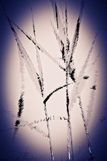 Water Reed Digital art by David Pyatt