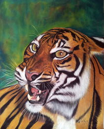 Tiger by Ursula Thuleweit Laranjeiro
