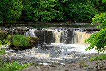 Aysgarth Falls, Yorkshire by Louise Heusinkveld