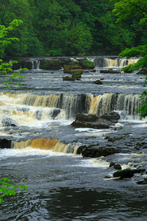 Aysgarth Falls, Yorkshire von Louise Heusinkveld