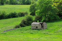 Derelict Stone Barn, Yorkshire Dales by Louise Heusinkveld