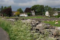 Wildflowers and a Dry Stone Wall von Louise Heusinkveld