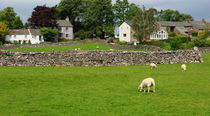 Ravenstonedale, Cumbria by Louise Heusinkveld