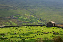 Light on the Landscape in Swaledale von Louise Heusinkveld