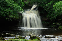 West Burton Falls, Wensleydale by Louise Heusinkveld