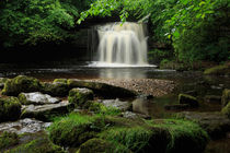 West Burton Falls, Wensleydale von Louise Heusinkveld