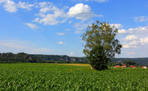 Märchenland von Wolfgang Dufner