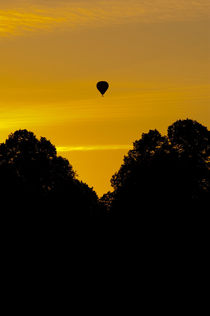 Sunset journey von Lars Hallstrom