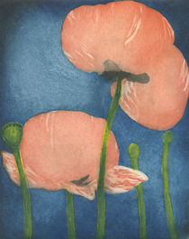 Mohn by Marion Huber