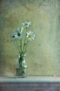 simply daisies von Priska  Wettstein