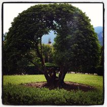 Trento Tower by Azzurra Di Pietro