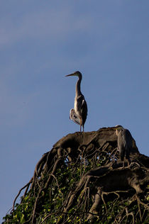 Weiter Blick by Stephan Gehrlein