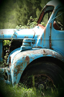 Old truck in France 2 by Katia Boitsova