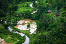 Harau Valley by David Pinzer