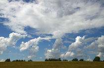 Sommer am Deich - summer on the dike by ropo13