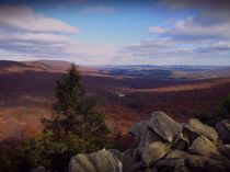 Hawk Mountain Sanctuary by David Dehner