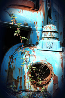 Old truck in France 3 von Katia Boitsova