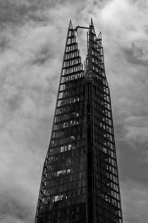 The Shard by David Pyatt