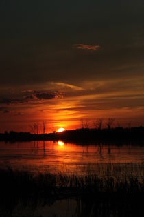 Sunset Over Water von starsania