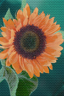 Sonnenblume 70er Style von Christine Bässler