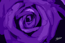 Purple Rose Signed von Jeff Pierson
