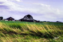 Seven Mile Barn von Jeff Pierson