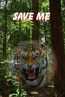 Poster Save Tiger von Nandan Nagwekar