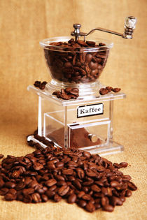 Kaffeemühle Coffee Mill von Falko Follert