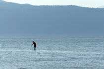 Lone Paddle Boarder von John Mitchell