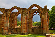 Aisle Chapels, Melrose Abbey von Louise Heusinkveld